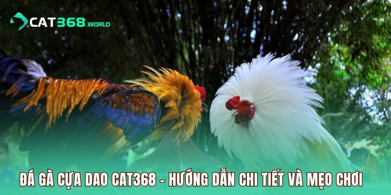 da-ga-cua-dao-cat368