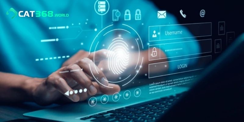 Hướng dẫn chi tiết cách truy cập tài khoản trên trang web CAT368