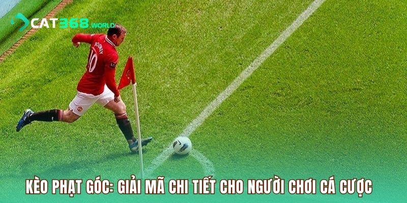 keo-phat-goc-la-gi