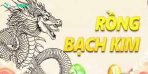 Rồng Bạch Kim 777 - Nơi Chốt Số Uy Tín Cho Mọi Người Chơi