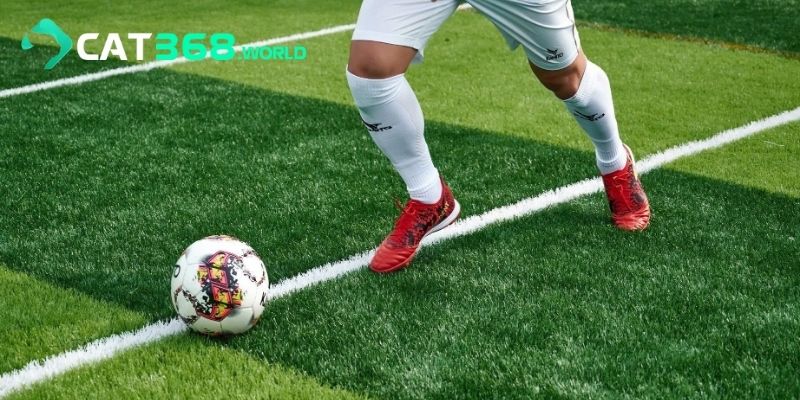 Mẹo vàng khi soi và đặt tỉ lệ kèo chính xác